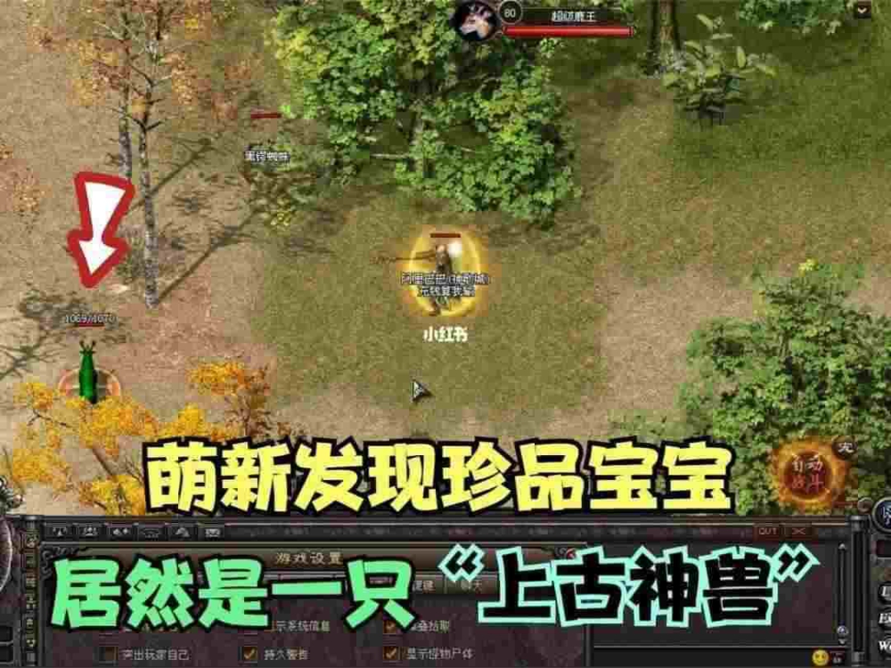 好传奇2sf之私服传奇和w7系统兼容怎么办